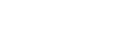 Onyx Logo Whitescale